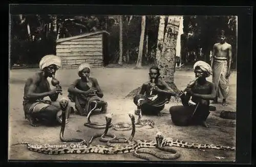 AK Ceylon, Snake Charmers