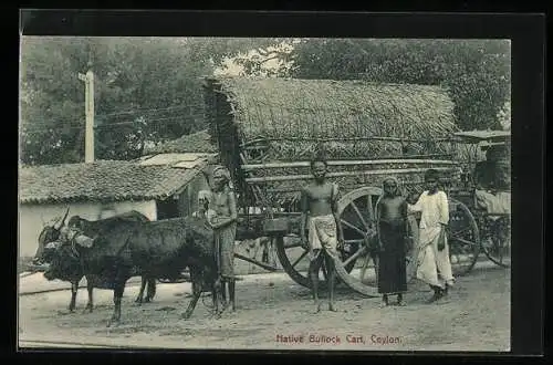 AK Ceylon, Native Bullock Cart