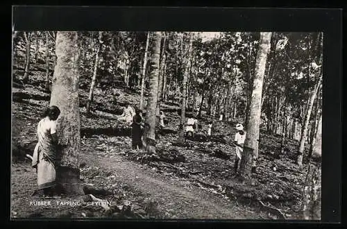 AK Ceylon, Rubber Tapping