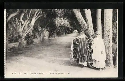 AK Alger, Jardin d`Essai, L`Allée des Yuccas