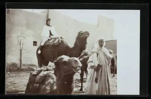 Foto-AK Beduinen und ihre Kamele