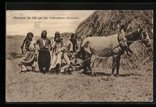 AK Moisson du blé par les cultivateurs bédouins