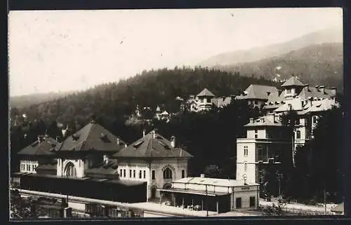 AK Sinaia, Vedere spre Gara, Teilansicht mit Bahnhof