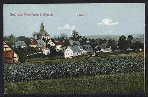 AK Forchheim i. Erzgeb., Blick aufs Oberdorf