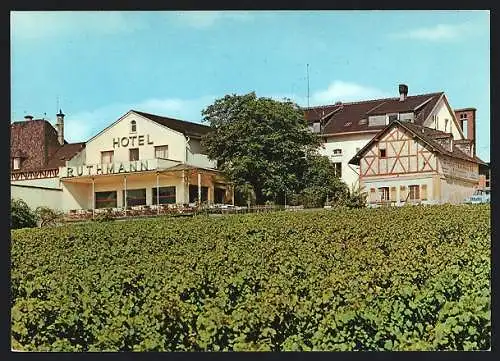 AK Mittelheim i. Rheingau, Hotel Rheinterrasse Ruthmann