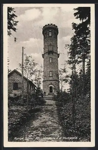 AK Oybin, Aussichtsturm a. d. Hochwald