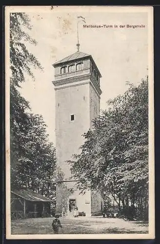 AK Zwingenberg / Bergstrasse, Melibocus-Aussichtsturm