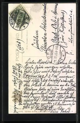 Künstler-AK Raphael Tuck & Sons Nr. 1724: Bettws-y-Coed, Swallow Falls