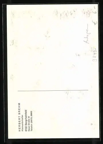 AK Bergrheinfeld, Musiker Herbert Brehm mit Akkordeon