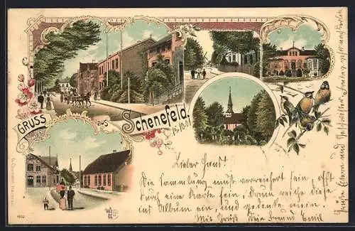 Lithographie Schenefeld / Kiel, Versch. Strassenpartien, Kirche und Blaumeisen