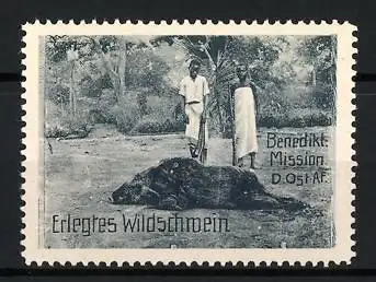 Reklamemarke Deutsch-Ost-Afrika, Benediktiner Mission, erlegtes Wildschwein