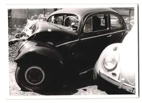 5 Fotografien Auto VW Käfer, Volkswagen Wrack auf einem Schrottplatz