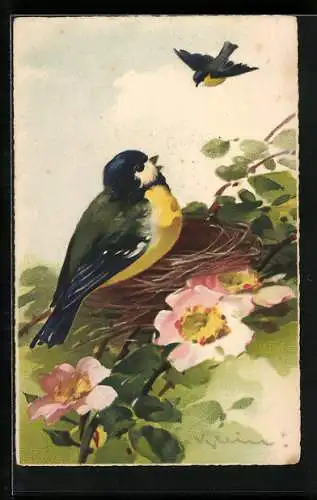 Künstler-AK Catharina Klein: Zwei Blaumeisen an ihrem Nest in einem Rosenstrauch