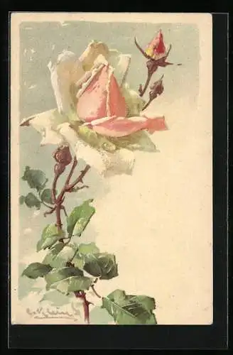 Künstler-AK Catharina Klein: Rose in zarten Rosa- und Weisstönen mit Knospe und grünem Laub