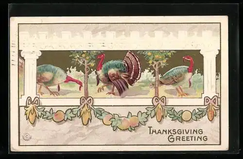 AK Thanksgiving Greeting, Truthähne unter Obstbäumen