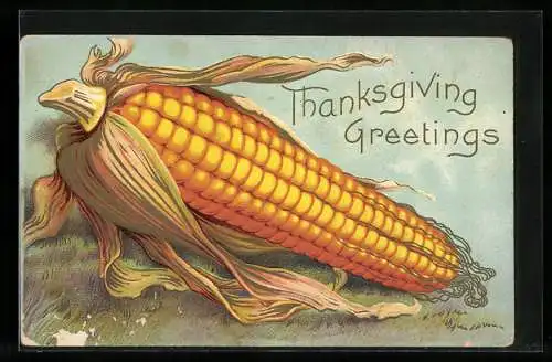 AK Maiskolben auf einer Wiese, Thanksgiving Greetings