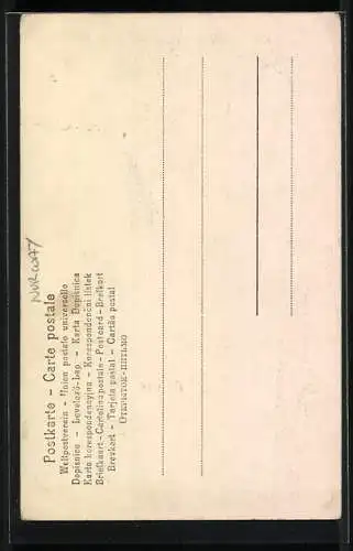 AK Hardanger, Frau in norwegischer Tracht