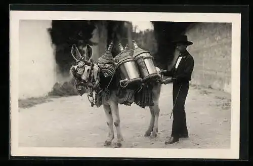 AK spanischer Mann mit bepacktem Esel, El Granadino mas tipico, Un aguador