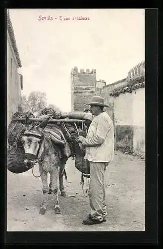 AK Sevilla, Tipos andaluces