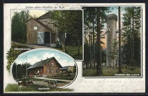 AK Ilmenau, Goethehäuschen, Gasthaus Gabelbach, Kickelhahn