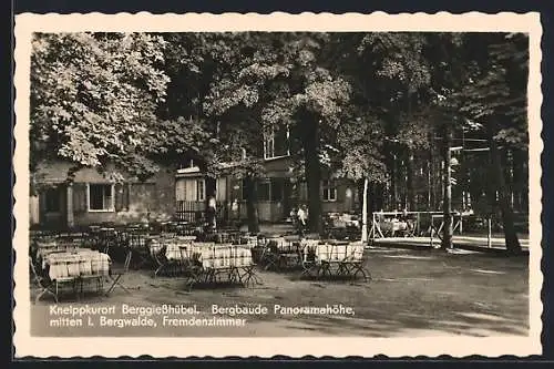 AK Berggiesshübel, Bergbaude Panoramahöhe mit Waldlokal