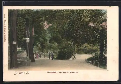 AK Zittau, Promenade bei Helds Terrasse