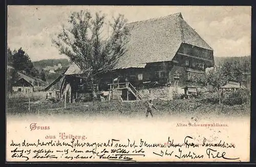 AK Triberg, Altes Schwarzwaldhaus mit Garten