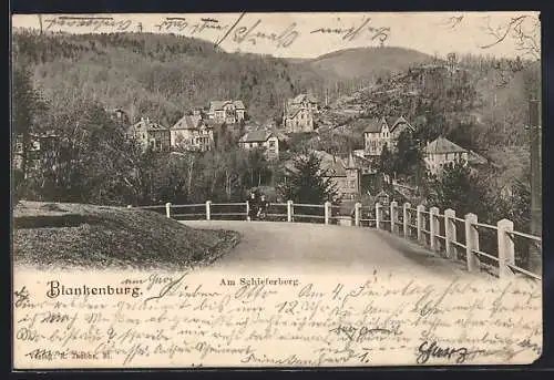 AK Blankenburg /Harz, Ortsansicht vom Schiefersberg gesehen