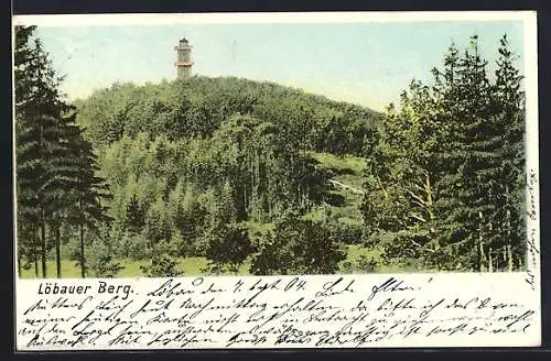 AK Löbau, Löbauer Berg mit Aussichtsturm