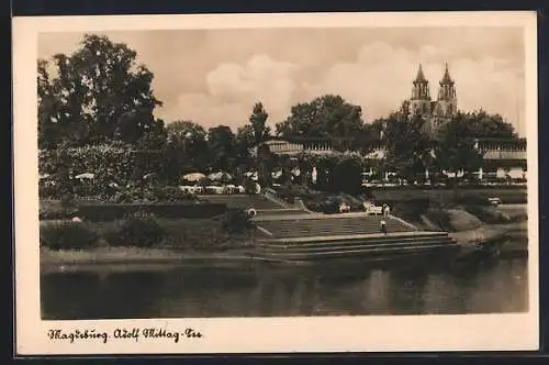 AK Magdeburg, Adolf Mittag-See mit Besuchern