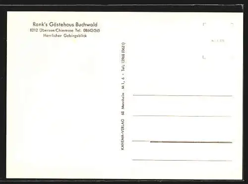 AK Übersee /Chiemsee, Rank`s Gästehaus Buchwald, Ansicht vor dem Wald