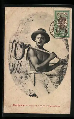 AK Martinique, Retour de la chasse au trigonocephale