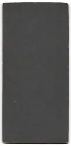 Fotografie Richard Zähnig, Dresden, Marienstrasse 12, Eleganter junger Mann im Anzug