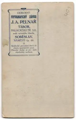 Fotografie J. A. Pelnar, Tábor, Oalackého Tr. 353, Porträt einer jungen Frau