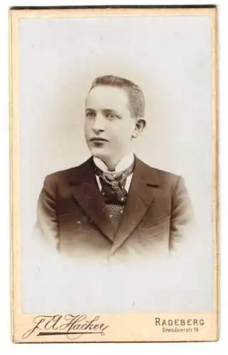 Fotografie J. A. Hackler, Radeberg, Dresdnerstrasse 18, Porträt eines jungen Mannes in Anzug