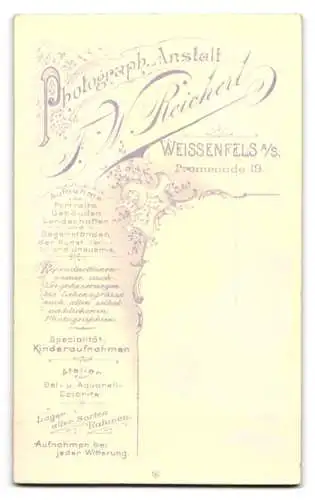 Fotografie F. W. Reichert, Weissenfels a. S., Promenade 19, Porträt eines jungen Mannes