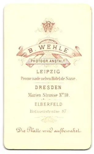 Fotografie B. Wehle, Dresden, Marien-Strasse No. 10, Kleinkind auf reich verziertem Sessel