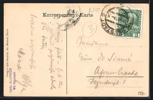 AK Wr. Neustadt, Ortspartie mit Kirchturm