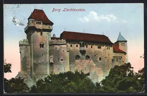 AK Liechtenstein, Die Burg Liechtenstein im Ganzen
