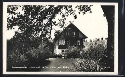 AK Echsenbach /N.-Oe., Villa zur Mühle