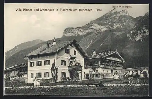 AK Maurach am Achensee, Villa Rinner und Wohnhaus, Rote Wandspitz