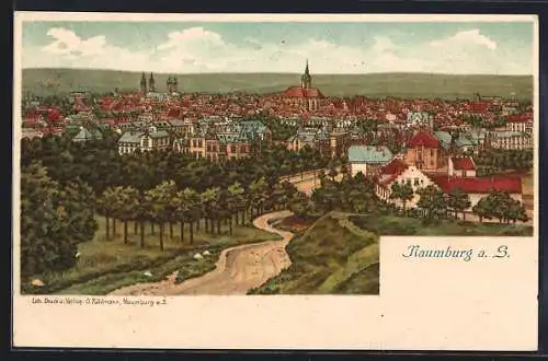 Lithographie Naumburg a. S., Blick auf die Stadt