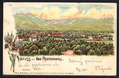 Lithographie Bad Reichenhall, Totalansicht mit Bergpanorama, Schwertlilien