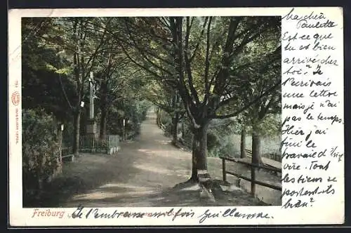 AK Freiburg i. Br., Schlossberg - Am Kreuz