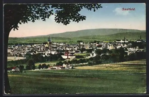 AK Saalfeld / Saale, Panorama mit Kirche