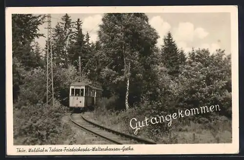 AK Tabarz, Thüringer Waldbahn nach Friedrichroda, Waltershausen, Gotha