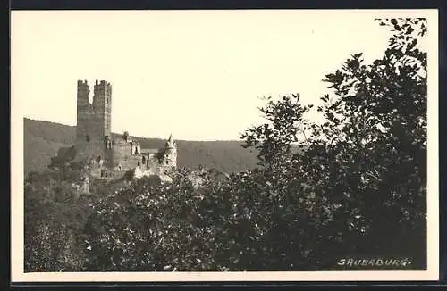 AK Sauerthal, Ruine Sauerburg