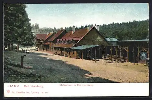 AK Bad Harzburg / Harz, Molkenhaus