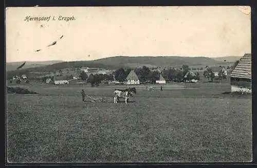 AK Hermsdorf i. Erzgeb., Mann mit Pflug