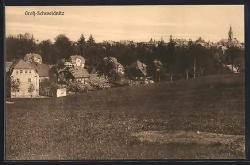 AK Gross-Schweidnitz, Ortspartie am Waldrand